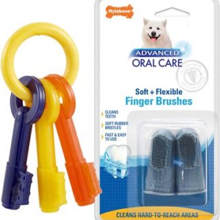 Nylabone Teething Keys Chew Toy + Advanced Oral Care Dog Finger Brush