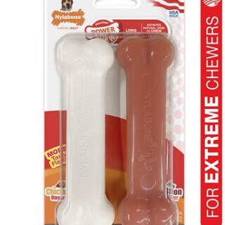 Nylabone DuraChew Twin Pack Bacon & Chicken Flavored Dog Chew Toy, Medium