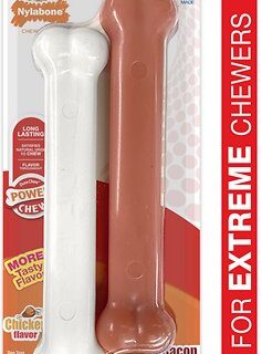 Nylabone DuraChew Twin Pack Bacon & Chicken Flavored Dog Chew Toy , Large