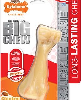 Nylabone DuraChew BIG Chew Chicken Flavored Dog Chew Toy, X-Large