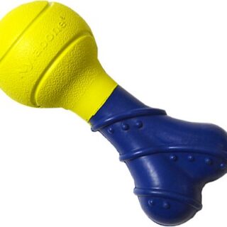 Nylabone Power Play Fetch-a-Bounce Dog Toy