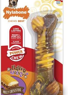 Nylabone DuraChew Flavor Frenzy Cheesesteak Flavored Dog Chew Toy, Wolf