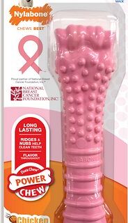 Nylabone Breast Cancer Awareness Pink Power Dog Chew Toy