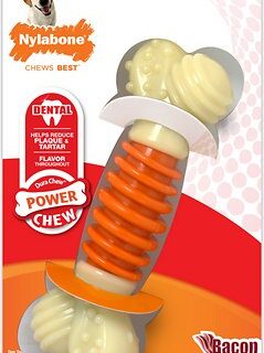 Nylabone PRO Action Dental Power Chew Bacon Flavored Dog Chew Toy, X-Large