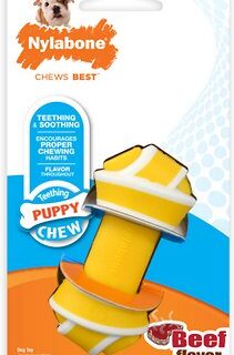 Nylabone Puppy Teething Rawhide Alternative Knot Puppy Chew Toy, Petite