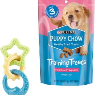 Nylabone Teething Rings Chew Toy + Puppy Chow Healthy Start Salmon Flavor Training Dog Treats