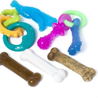 Nylabone Teething Kit & Chew Treat Variety Flavor Starter Kit Puppy Dog Chew Toys