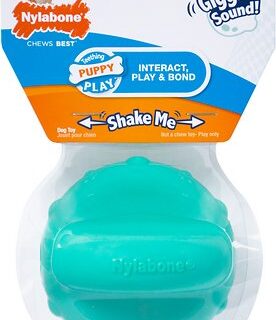 Nylabone Giggle Ball Puppy Teething Toy