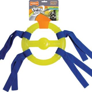 Nylabone Power Play Ring Thing Dog Toy