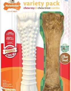 Nylabone Roast Beef & Chicken Flavored Dog Chew Toy, Souper, 2 count