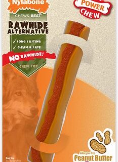 Nylabone DuraChew Power Chew Peanut Butter Flavored Dog Chew Toy