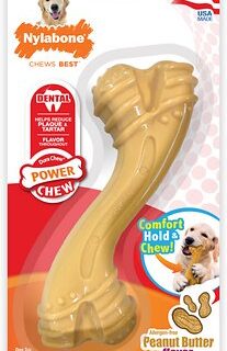 Nylabone Dura Chew Power Chew Peanut Butter Flavor Dental Chew Dog Toy