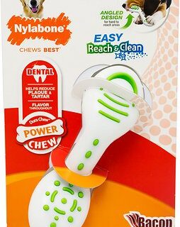 Nylabone Reach & Clean Bacon Flavored Dog Chew Toy, Large