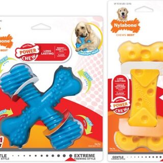 Nylabone Dura Chew Power Chew Beef & Cheese Flavor Dog Chew Toy, 2 count