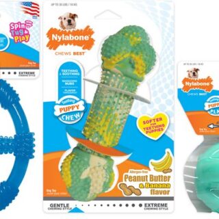 Nylabone Chews Best Chew Teething Dog Toy, 3 count