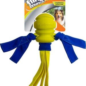 Nylabone Power Play Fling-a-Bounce Fetch Dog Toy