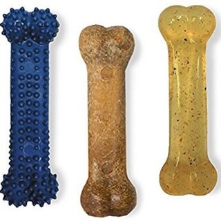 Nylabone FlexiChew Value Pack Chicken & Bacon Flavored Dog Chew Toy