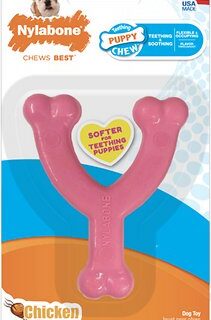 Nylabone Petite Wishbone Puppy Chew Toy, Pink