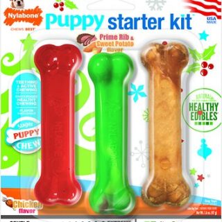 Nylabone Holiday Puppy Starter Kit Dog Toys, 3 count