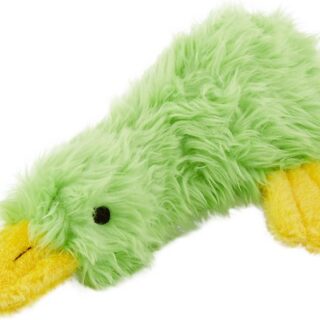 Multipet Duckworth Webster Squeaky Plush Dog Toy, Color Varies