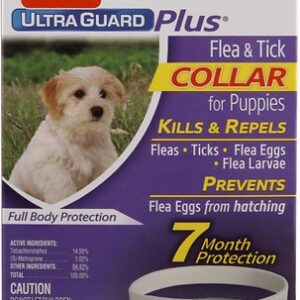 Hartz UltraGuard Plus Dog Flea and Tick Collar for Dogs, X-Small & Toy & Small Breeds, 1 Collar (7-mos. supply)