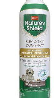 Flea and Tick Dog Spray